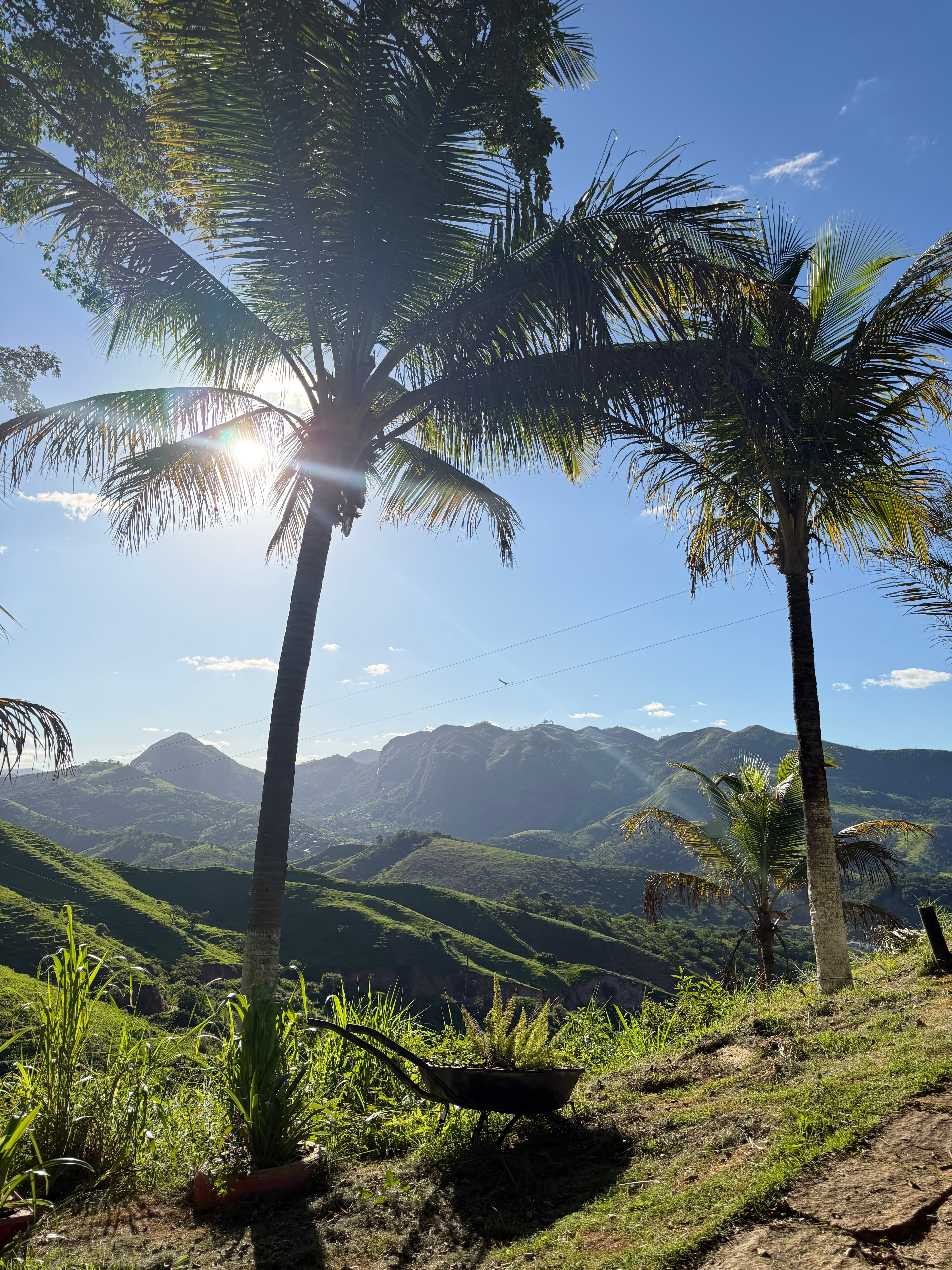 vista das montanhas